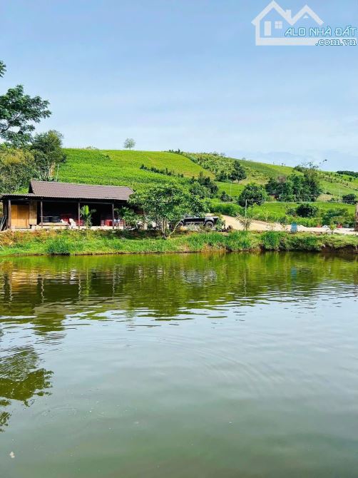 2.8 sào Lộc Tân có Ao, suối tuyệt đẹp