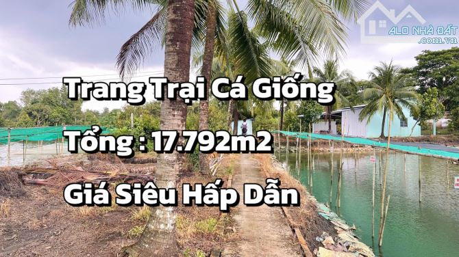 Bán Trang Trại Nuôi Cá Giống 17.792m2 Cách Cần Thơ 13km