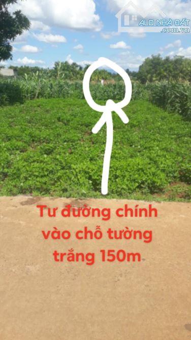 Đất nền tại Đăk Lăk diện tích lớn 700m2 tiện ích xung quanh đầy đủ