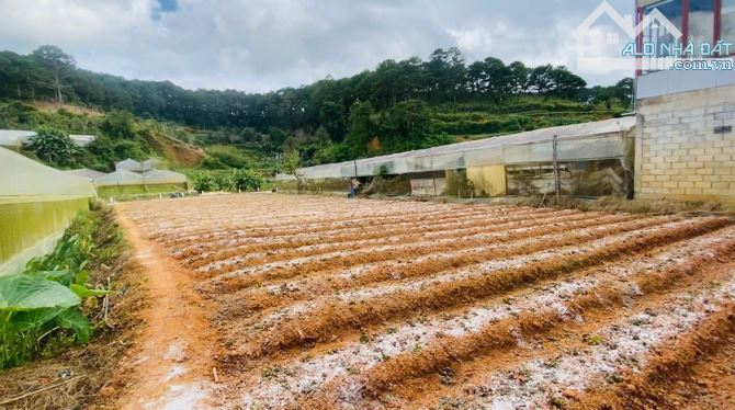 Bán đất hai mặt tiền Triệu Việt Vương Đà Lạt view suối ngay trung tâm