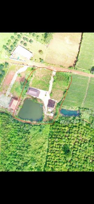 2.8 sào Lộc Tân có Ao, suối tuyệt đẹp - 1