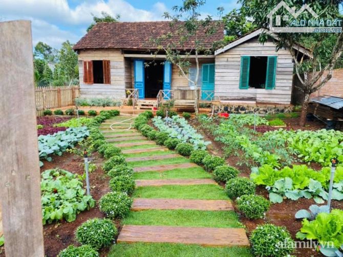 Nhà Vườn ngay sát bên KDL GIANG ĐIỀN - TRẢNG BOM. 1250m2 sổ riêng, thổ cư. - 1