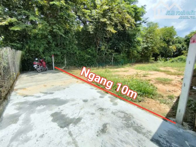 Bán đất Diên Lâm giá rẻ sát bên Hương Lộ 39 - cách chợ 900m - 1