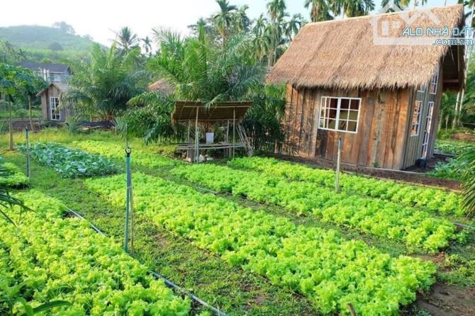 Nhà Vườn ngay sát bên KDL GIANG ĐIỀN - TRẢNG BOM. 1250m2 sổ riêng, thổ cư. - 2