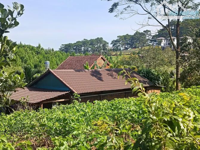 2.8 sào Lộc Tân có Ao, suối tuyệt đẹp - 3