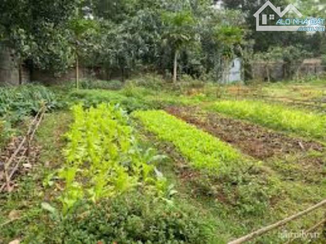 Nhà Vườn ngay sát bên KDL GIANG ĐIỀN - TRẢNG BOM. 1250m2 sổ riêng, thổ cư. - 3