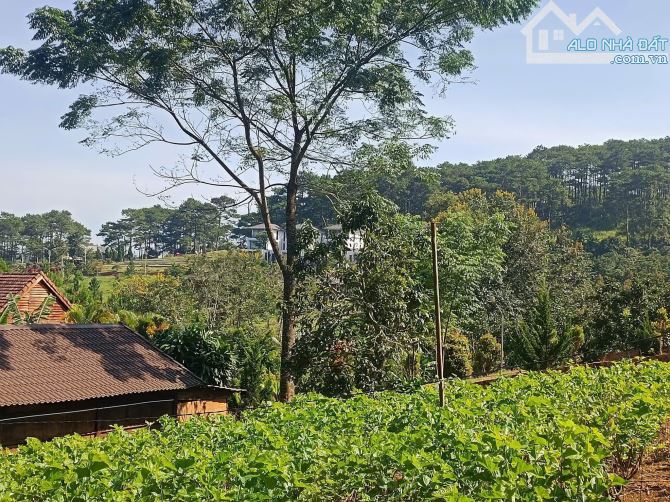 2.8 sào Lộc Tân có Ao, suối tuyệt đẹp - 4
