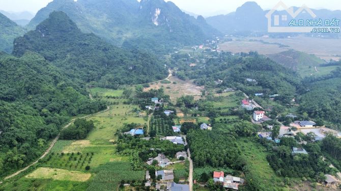 3158m Cây Hàng Năm Đã Có Quy Hoạch Thổ Cư - Bám Suối - Có Ranh Giới Rõ Ràng - 4