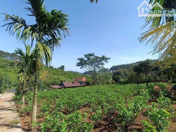 2.8 sào Lộc Tân có Ao, suối tuyệt đẹp - 5