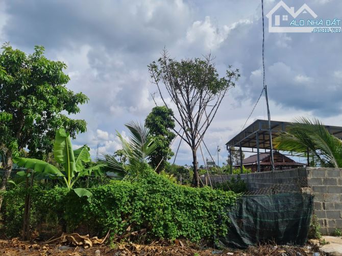 🌈⭐️ Đất Dài Mặt Tiền B5 Mậu Thân - EaTu (19.7x96m 🔥6,15 tỷ) - 4