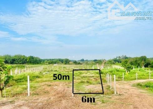 Bán đất View núi Bà Đen Tây Ninh cách KDL Long Điền Sơn 500m có SHR 750 triệu - 300 m² - 1