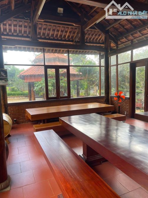 🅿️❇️BÁN GẤP NHÀ VƯỜN SIÊU ĐẸP, TÂN THÀNH, HẺM 257 MAI HẮC ĐẾ GIÁ CỰC CHẤT 20 TỶ❇️ - 12