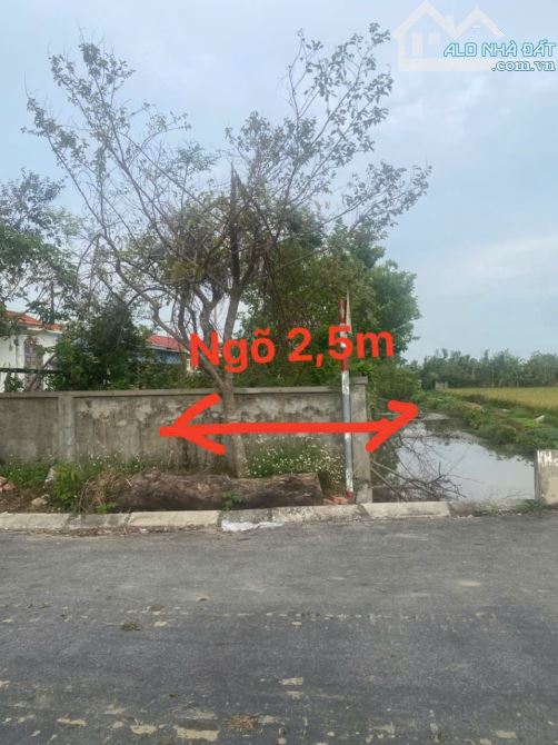 Bán lô đất 60m2 mặt tiền 6,7m giá rẻ tại Minh Tân Kiến Thụy Hải Phòng - 3