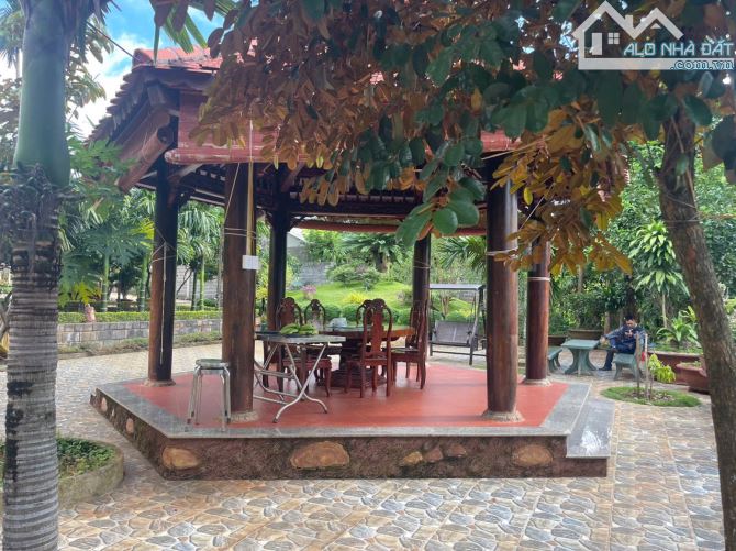 🅿️❇️BÁN GẤP NHÀ VƯỜN SIÊU ĐẸP, TÂN THÀNH, HẺM 257 MAI HẮC ĐẾ GIÁ CỰC CHẤT 20 TỶ❇️ - 3