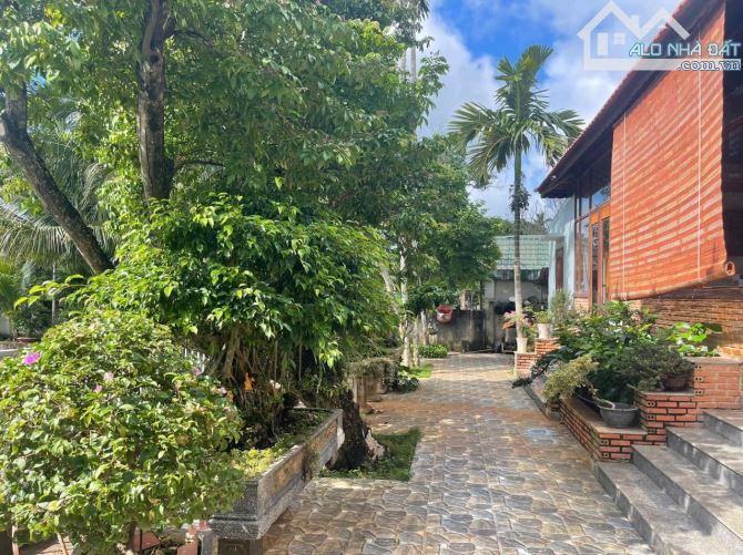 🅿️❇️BÁN GẤP NHÀ VƯỜN SIÊU ĐẸP, TÂN THÀNH, HẺM 257 MAI HẮC ĐẾ GIÁ CỰC CHẤT 20 TỶ❇️ - 4