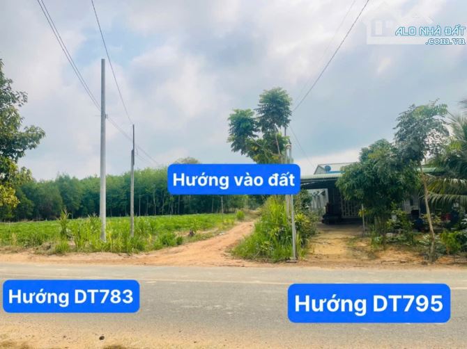 BÁN LÔ ĐẤT SÀO CUỐI ĐẤT GIÁP SUỐI LỚN TẠI TÂY NINH CHỈ 320TR - 5