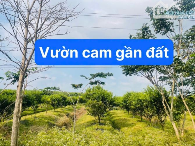 BÁN LÔ ĐẤT SÀO CUỐI ĐẤT GIÁP SUỐI LỚN TẠI TÂY NINH CHỈ 320TR - 6