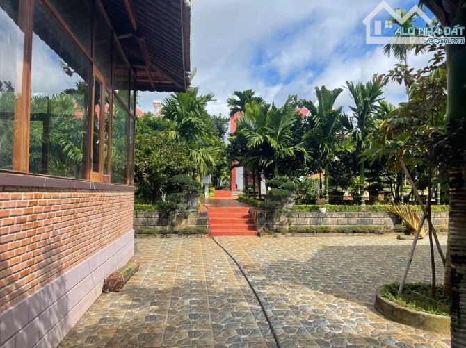 🅿️❇️BÁN GẤP NHÀ VƯỜN SIÊU ĐẸP, TÂN THÀNH, HẺM 257 MAI HẮC ĐẾ GIÁ CỰC CHẤT 20 TỶ❇️ - 6