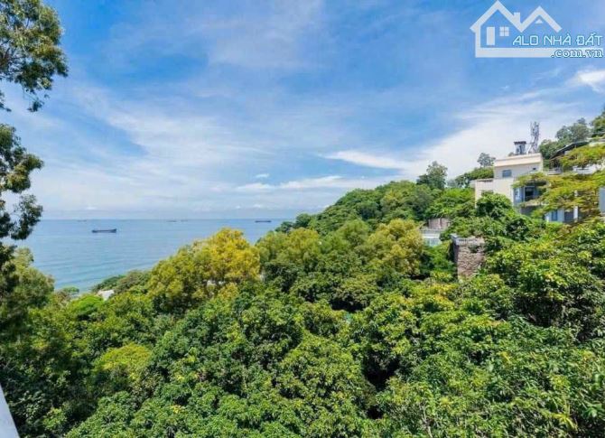 BÁN ĐẤT BIỆT THỰ NÚI LỚN 1.120M2 NHƯ HÌNH TP. VŨNG TÀU: - 1