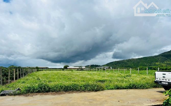 Cần bán đất giá ngộp ngay sân bay Liên Khương huyện Đức Trọng - 1