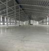 ChoThuê Kho xưởng 10,000-15,000m2 Dựng mới tại Khoái Châu,Hưng Yên.Pccc tự động nghiệm thu