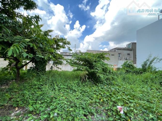 Đất khu Kiều Đàm đường nhựa 6m 791 Trần xuân Soạn Hưng Q7, 232m2 ngang lớn 25m chỉ 26.5 tỷ - 1