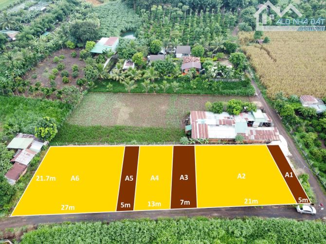 Cần bán lô đất 75m mặt tiền đường có 330m2 thổ cư tại TDP 15 Phường Khánh xuân - 3