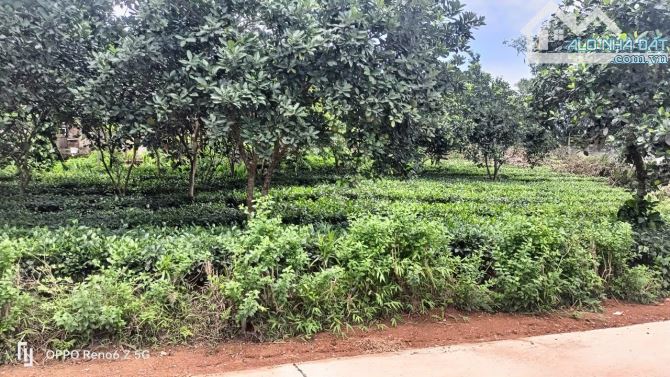 Mảnh đất View CÁNH ĐỒNG, xã Ba Trại, gần Hồ Suối Hai, k9, 612m, chỉ 2.99tỷ - 4