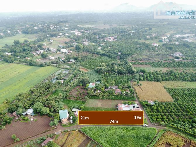 Cần bán lô đất 75m mặt tiền đường có 330m2 thổ cư tại TDP 15 Phường Khánh xuân - 4