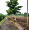 Cần bán lô đất 75m mặt tiền đường có 330m2 thổ cư tại TDP 15 Phường Khánh xuân
