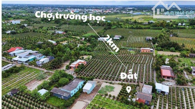 Bán Đất xã Thanh Phú Long, Châu Thành, Long an, 126m2, 5x24m, đường hiện hữu ô tô thông. - 1