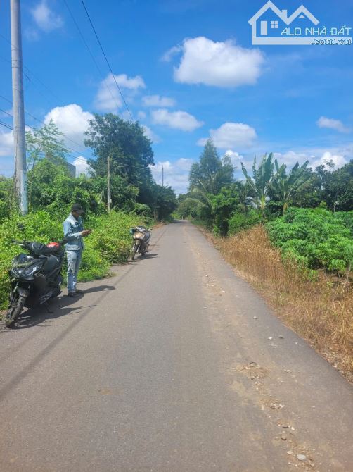 LÔ ĐẤT ĐƯỜNG NHỰA ĐẸP, PHỦ HỒNG TOÀN BỘ, CÁCH ĐƯỜNG NHỰA CHÍNH BÌNH GIÃ-ĐÁ BẠC 300M - 1