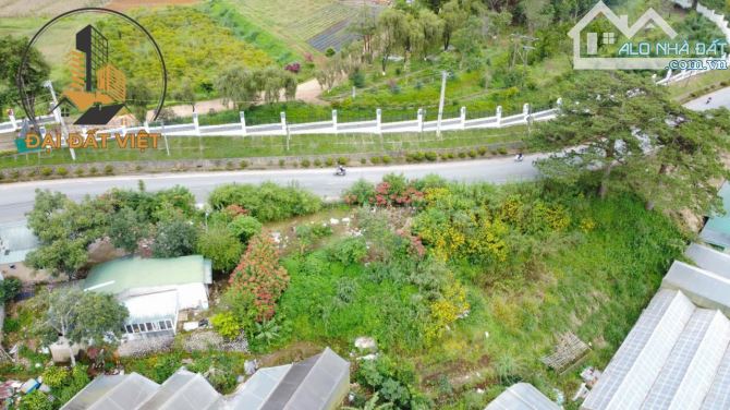 BÁN ĐẤT Ở VIEW ĐỒI THÔNG ĐẸP HOÀNG VĂN THỤ, ĐÀ LẠT - 18 TỶ - 1
