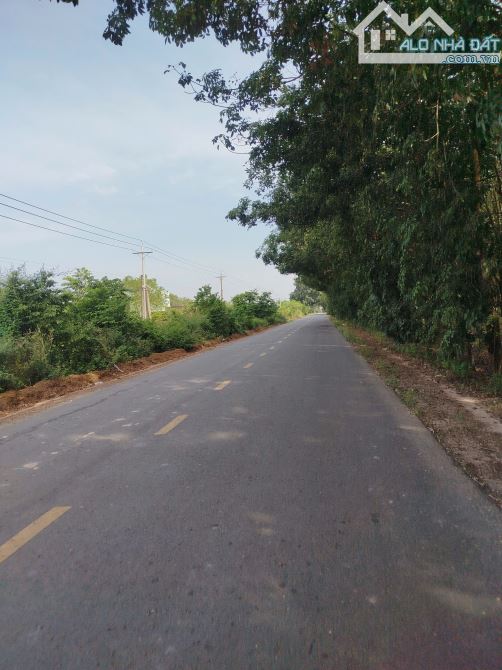 1 mẫu đất 111m Mt nhựa lớn Thạnh Bình, Tân Biên Tây Ninh giá 7ty2 - 1