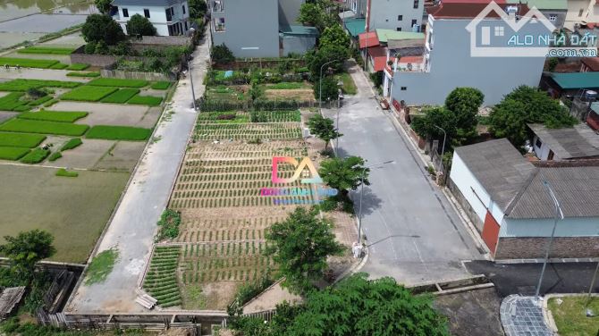 Bán đất đấu giá X3 Đào Thục xã Thụy Lâm Đông Anh đường 15m giá đầu tư - 3