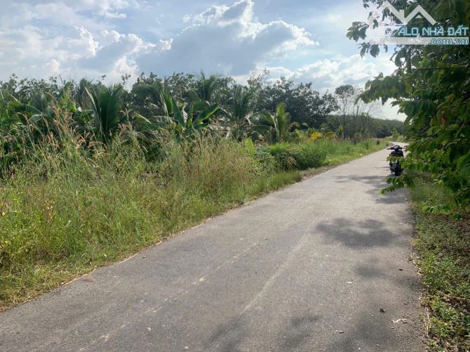 bán đất mặt tiền đường ĐT784 nhựa 12m thông liên xã phan, huyện dương minh châu tây nin - 2