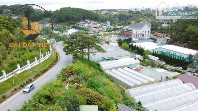 BÁN ĐẤT Ở VIEW ĐỒI THÔNG ĐẸP HOÀNG VĂN THỤ, ĐÀ LẠT - 18 TỶ - 2