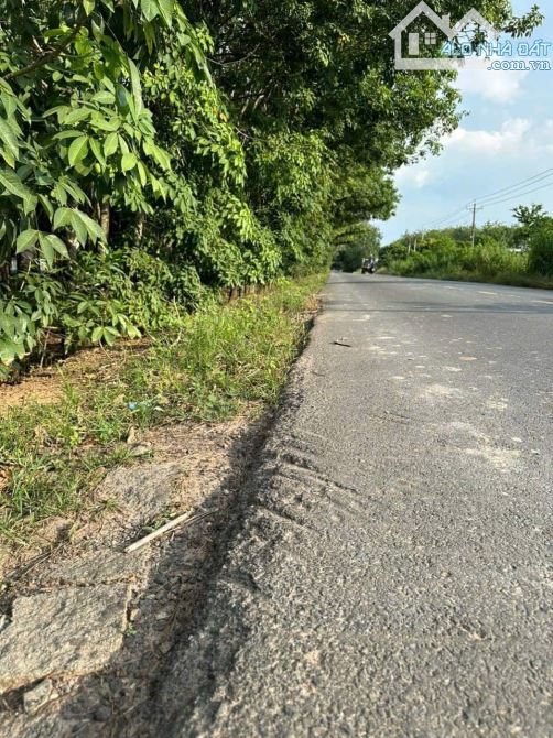 1 mẫu đất 111m Mt nhựa lớn Thạnh Bình, Tân Biên Tây Ninh giá 7ty2 - 4
