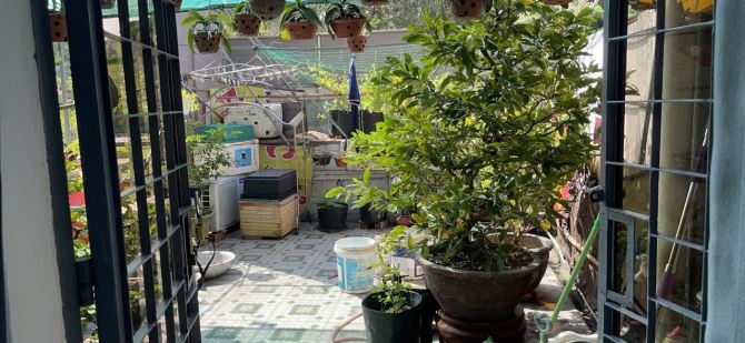 Bán nhà mặt tiền Bạch Đằng, P.2, Tân Bình: 4 x 23, giá 19,9 tỷ. - 5