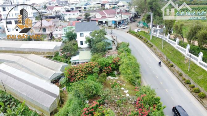 BÁN ĐẤT Ở VIEW ĐỒI THÔNG ĐẸP HOÀNG VĂN THỤ, ĐÀ LẠT - 18 TỶ - 5