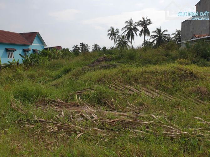 Bán 2.8 ha full thổ cư mặt tiền đường Huyện 41 Xã Phước Lập Tân Phước Tiền Giang chỉ 1.5 t