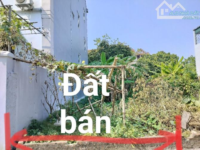 Hiếm: đất ĐỨC THƯỢNG ô tô tải phi 57m2 200m ra QL32 giá 4.x tỷ - 1