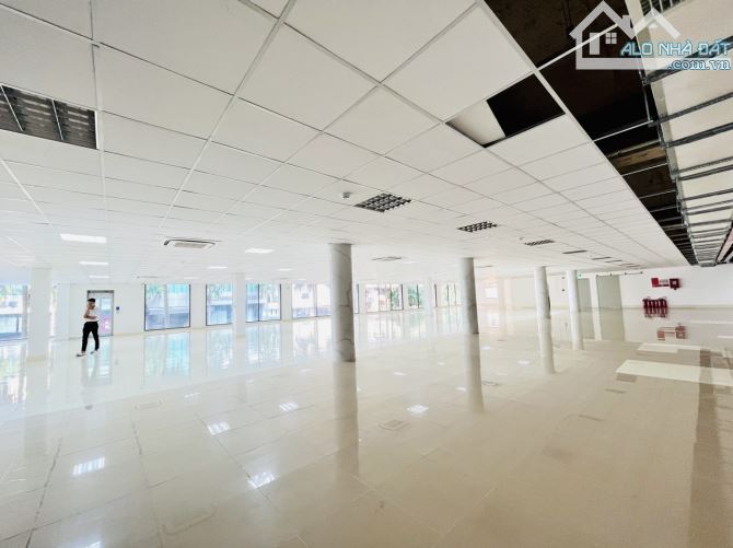 Office cần thơ cần cho thuê văn phòng tại tòa nhà hồng phúc building giá ưu đãi - 3