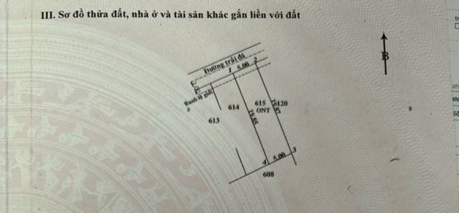 Bán đất 5 x20 xã Bình Mỹ Củ Chi, cách chợ Hóc Môn 8km, sổ hồng riêng, xd tự do - 1