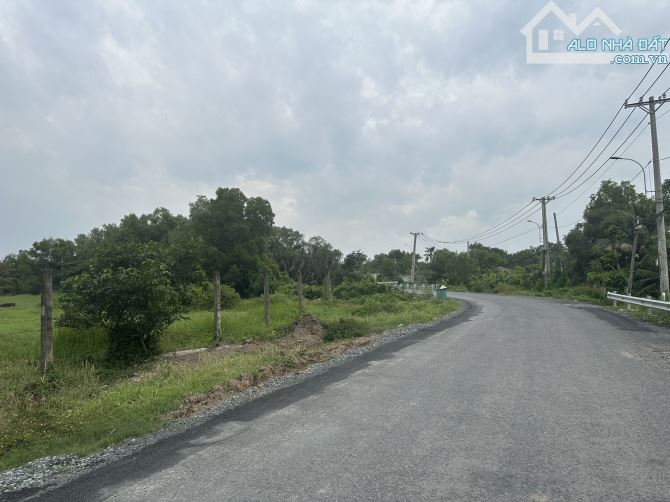 Bán đất 1,5ha mặt tiền đường Hưng Long - Quy Đức - 1
