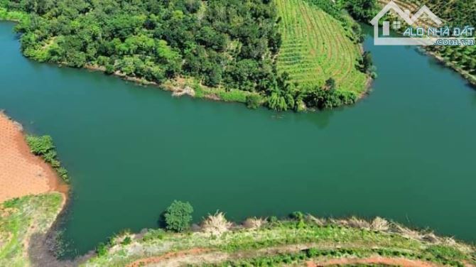 bán 1,5 ha view hồ đẹp tại đăk nông - 2