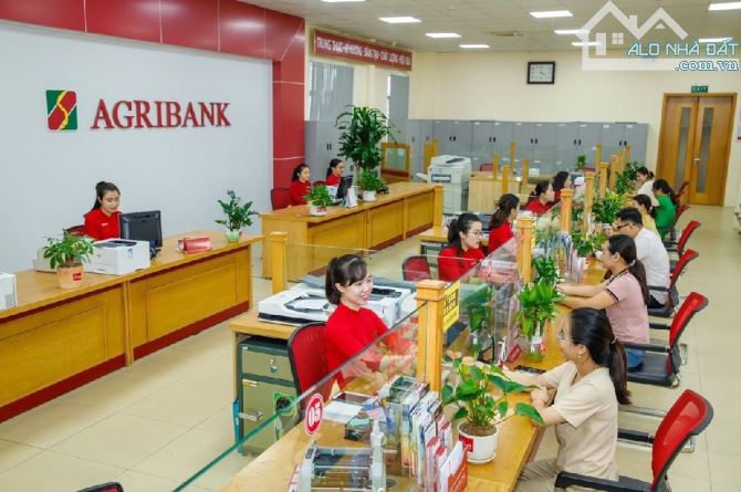 Bán nhà mặt phố Hàn Thuyên vị trí cực đẹp đường 2 chiều vỉ hè rộng 2 mặt thoáng - 3