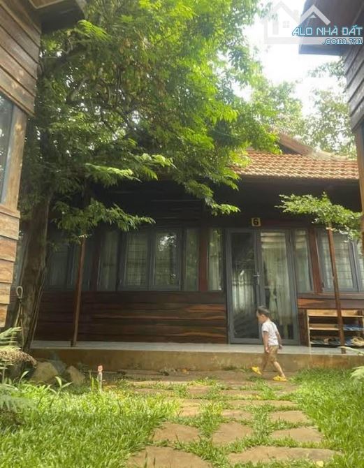 Cần bán homestay nằm trong khu du lịch Buôn Cô Thôn , đường Trần Nhật duật là khu du lịch - 5