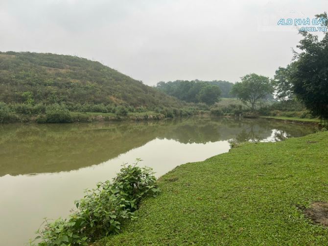 Cần chuyển nhượng 8.4 ha khu đất xây dựng nghỉ dưỡng và khu trải nghiệm tại Lương Sơn, HB - 5