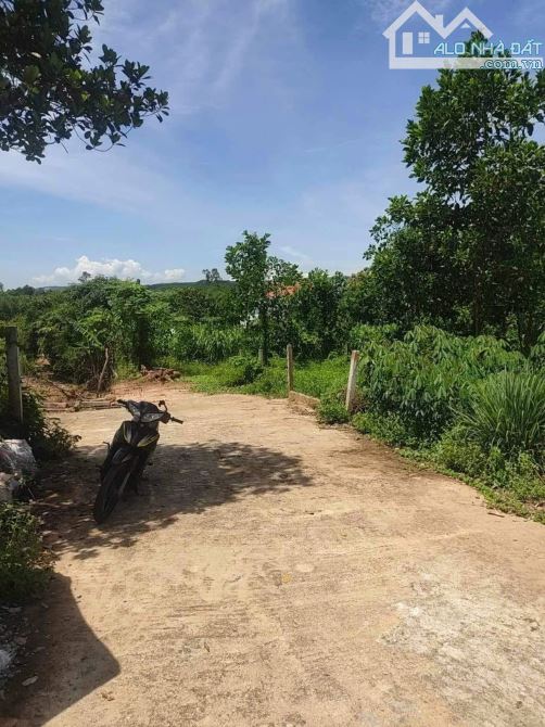 Biệt thự vườn đồi hoà nhơn hơn 500m2 ngang 9m, có 350m2 đất ở giá có 1ty850.mua ở làm vườn - 1